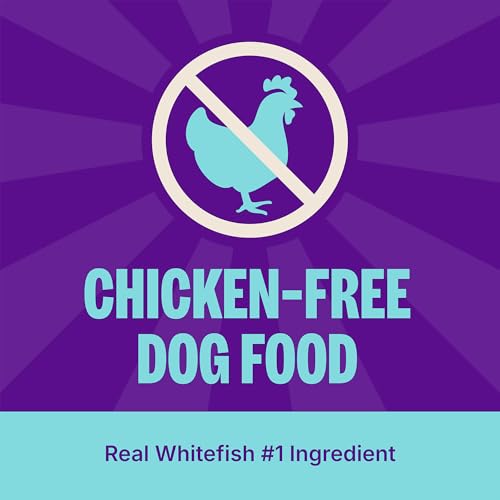 Wellness CORE Adult Dry Dog Food, Grain Free Kibble, Natural, High Protein, Chicken Free, Whitefish, Herring and Salmon Recipe, 26 lb Bag