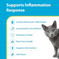 PRN Pharmacal Duralactin Feline & Fatty Acid Soft Chews - Joint Health Supplement for Cats & Kittens - Helps Support Inflammation - Omega 3 Fatty