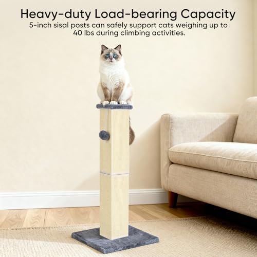 32" Tall Cat Scratching Post for Large Indoor Cats & Kittens, Cat Scratcher with Extra Large Stable Base and Natural Sisal, Sturdy Cat Scratch Post to Protect Furniture & Couch, Grey