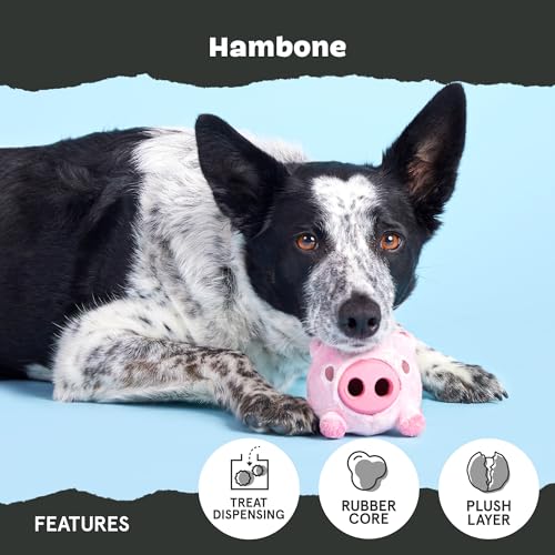 Barkbox Hambone Super Chewer Tough Dog Chew Toy for Aggressive Chewers, Plush Cover with Rubber Core - 2 Toys in 1 – Two Layer Treat Dispensing Dog