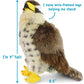 TigerHart Percival the Peregrine Falcon | 10 Inch Hawk Stuffed Animal Plush Bird Toys