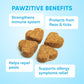 Chewable Flea and Tick Prevention for Dogs - 120 Soft Chews Made in USA - Oral Flea and Tick Control Pills for Small, Medium, Large Dogs and Puppies - Skin and Coat Supplement Treats for All Breeds