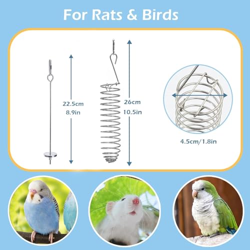 2Pcs Rat Enrichment Toys, 304 Stainless Steel Rat Foraging Toy for Fruit Vegetable Holder, Fancy Mice Cage Accessories Puzzle Toy, Hanging Rodent Toys Slow Feeder, Bird Foraging for Parakeet