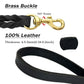 Guiding Star Leather Dog Leash 6ft, Dog Leashes for Large Dogs Heavy Duty, Soft Braided Handmade Leather Training Leash for Large & Medium Dogs