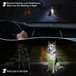 Dog Collar Light, 4 Modes Dog Lights for Night Walking, Rechargeable LED Pet Collar Light for Nighttime Clip on, IP68 Waterproof Pet Walking Accessories-2 Pack(Black)