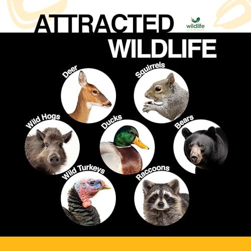Critter Corn, Natural Whole Shelled Corn for Wildlife, 44lb Bag – High-Energy Feed for Deer, Squirrels, Turkeys, Ducks, Raccoons, and More – USA Sourced