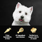Cesar Simply Crafted Adult Wet Dog Food Toppers for Dry Food, Chicken, 1.3 oz Tubs, 10 Count
