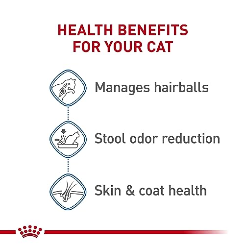 Royal Canin Feline Health Nutrition Indoor Long Hair Adult Dry Cat Food, 6 lb Bag