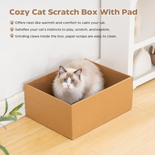 Avont Cat Scratcher Set, 3 Pcs Cardboard Cat Scratchers for Indoor Cats Durable Corrugated Cardboard Scratch Board Bed Lounge Box Toys for Kittens, Furniture Protector for Couch