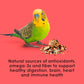 Kaytee Fiesta Parakeet Food, Nutritious and Fun Blend, Supports Skin, Feather, Digestion, Brain and Heart Health, 4.5 pounds