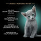 Sheba Perfect Portions Kitten Wet Cat Food Pate Chicken Entree, Salmon Entree, and Turkey Entree, 2.6 oz. Twin-Pack Trays (24 Count, 48 Servings)