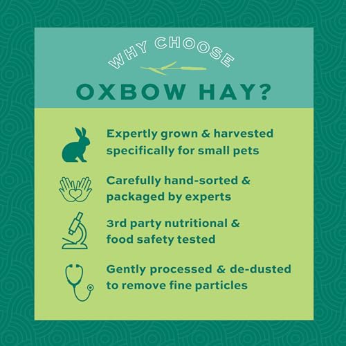 Oxbow Orchard Grass Hay for Small Pets – All-Natural Long Strand Fiber Hay for Rabbits, Guinea Pigs, Chinchillas, and Hamsters – Supports Digestive Health and Enrichment – 40 oz Bag