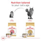 Royal Canin Feline Breed Nutrition Maine Coon Adult Dry Cat Food, 6 lb Bag