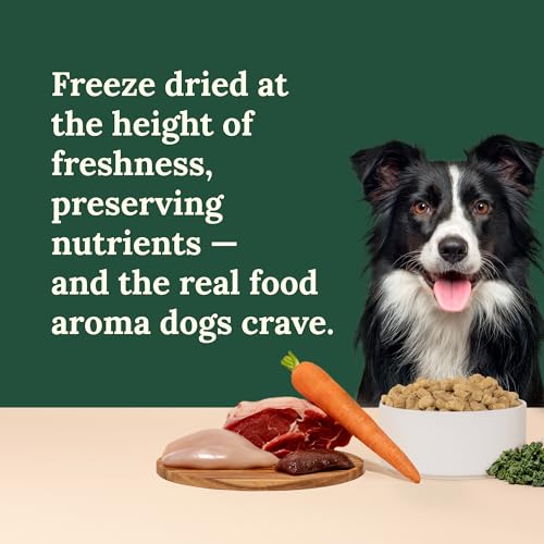 360 Pet Nutrition Freeze-Dried Raw Dog Food – Multi-Protein with Beef, Chicken, Fish, Liver & Organs, High Protein, Omega-3s, Fruits, Veggies & Superfoods, Grain-Free, No Fillers, 3 lb – Made in USA