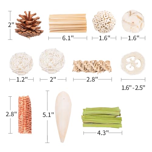 40 Pcs Bird Parrot Toys, Natural Bird Foraging Toy for Cockatiels, Lovebirds, Budgies, Small to Medium Parrot