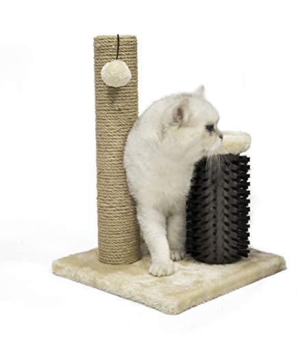 Basics Cat Scratcher - Indoor Classic Single Cat & Kittens Scratching Post with Brush, Small (16.5" H) - Beige