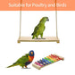 Swing Toys Xylophone, 2pcs Chicken Toys for Poultry Run, Rooster Hens Chicks Pet Parrots Macaw Entertainment, Stress Relief for Birds