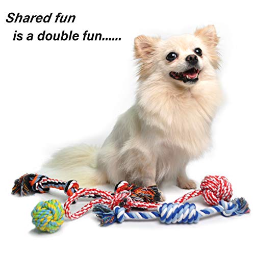 Fida Dog Rope Toys 4 Pack, Puppy Teething Sturdy Cotton Chew Tug Ropes Indoor/Outdoor, Exercise Interactive Tug O'War Toys Set for Boredom