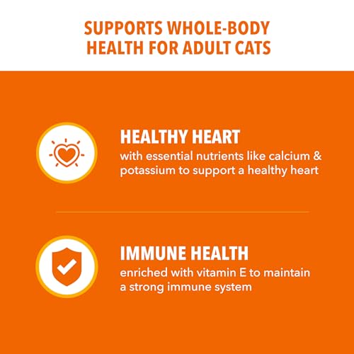 IAMS Proactive Health Adult Healthy Dry Cat Food with Real Salmon, 7 lb. Bag