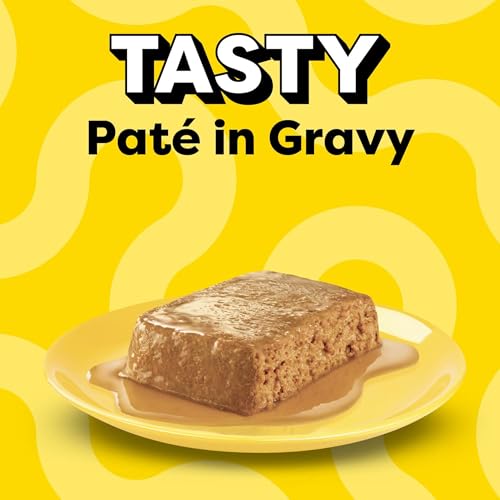 Temptations Pate in Gravy Adult Wet Cat Food Tasty Chicken Entree, Seafood Medley, Backyard Cookout, and Catnip Fever, 3.5 oz. Trays (36 Count, Pack
