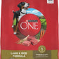 Purina ONE Dry Dog Food Lamb and Rice Formula - 16.5 lb. Bag