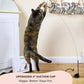 Whiskertons Interactive Bird Simulation Cat Toy Set, Interactive Cat Toys for Indoor Cats, Cat Feather Toy, Self-Holding Suction Base, 5 Replacement