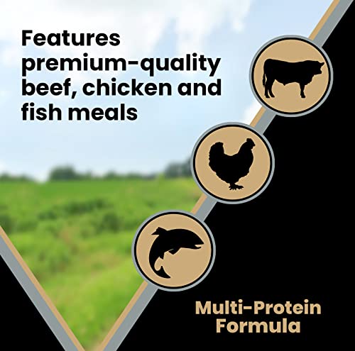 VICTOR Super Premium Dog Food – Purpose – Senior Healthy Weight Management – Dry Dog Food for Adult Dogs – Gluten Free with Glucosamine and