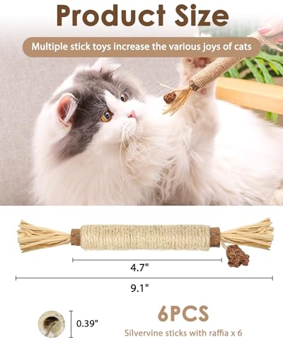 Tocirelo Silvervine Sticks Cat Toys - 6Pack Natural Cat Chew Toy Teeth Cleaning, Matatabi Dental Care Kitten Treat, Catnip Cat Teething Toys, Catmint