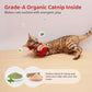 Potaroma Cat Toys Chirping Birds 2 Pcs with Catnip SilverVine, Interactive Cat Kicker, Lifelike Birdie Tweets, Indoor Kitty Kitten Exercise Toys 4.0"