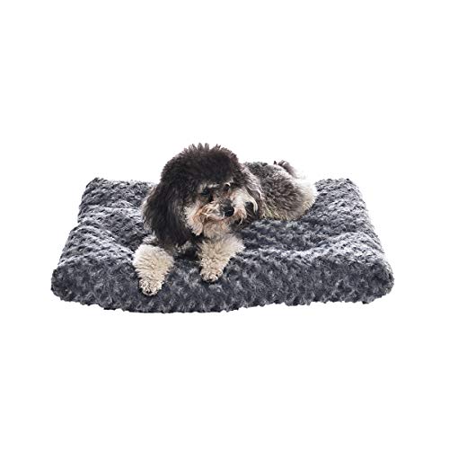 Basics Cat and Dog Bed and Crate Pad, Machine Washable, Indoor, 23 x 18 x 2.5 inches, Gray