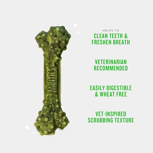 Minties Dental Chews for Dogs, 60 Count, Vet-Recommended Mint-Flavored Dental Dog Treats for Medium Dogs, Bones Clean Teeth, Fight Bad Breath, and Removes Plaque and Tartar