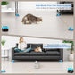 Interactive Cat Toy for Indoor Cats, Auto/Remote Control DIY Cat Mouse Hunting Treadmill Keep Bored Kitten Puppy Entertained to Chase, Feather Toy to Exercise-Sky Blue