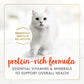 Purina Fancy Feast Salmon Feast Classic Grain Free Wet Cat Food Pate - (Pack of 24) 3 oz. Cans