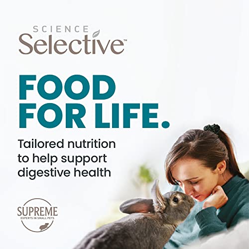 Selective Naturals Orchard Loops with Timothy Hay & Apple (Pack of 4)