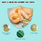 Pawsible Cat Toys for Indoor Cats, 100% Pure Organic Catnip-Filled Toys Without Cotton, Interactive Cactus Kitten Toy for Anxiety Relief, Soft Cute Teething &Chew Toys, 5 Pack
