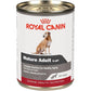 Royal Canin Canine Health Nutrition Mature Mature In Gel Dog Food, 13.5 oz (Pack of 12)