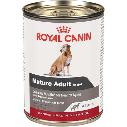 Royal Canin Canine Health Nutrition Mature Mature In Gel Dog Food, 13.5 oz (Pack of 12)
