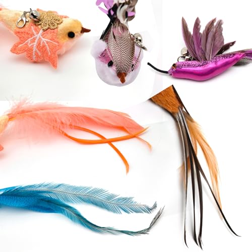 miwoowim Interactive Cat Toys for Indoor Cats - 35'' Steel Wire and 6PCS Feather Bird Refills,Teaser Toy,Cat Wand Toy,Feathers & Bells, Realistic Bird Impression (7 PCS)