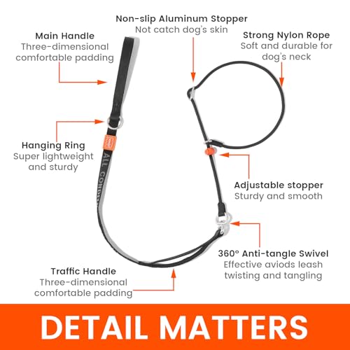 HowGo Slip Lead Dog Leash, 360°Swivel Anti-Tangle (Black 5.5FT) | Traffic Hanldes Heavy-Duty Tranning Fur Stuck Free,Lightweight Aluminum