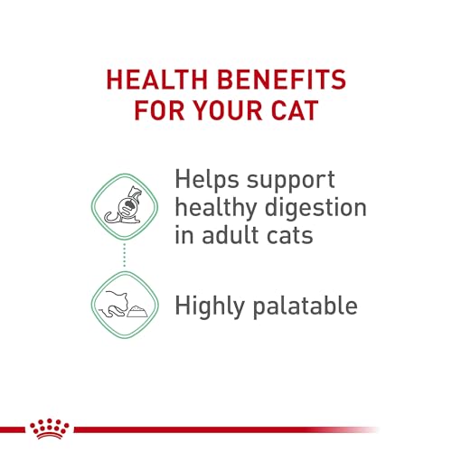 Royal Canin Feline Care Nutrition Digestive Care Adult Thin Slices in Gravy Cat Food, 3 oz (Pack of 24)