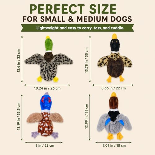 Dog Squeaky Toy Set – 4-Pack Durable Plush Duck, Pheasant, Goose for Small and Medium Dogs – Soft Bird Chew Toys with Crinkle Sound for Puppy Play, Interactive Training