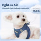 rabbitgoo Dog Harness Small Sized and Leash Set, Step in Soft Light Puppy Vest, Breathable Mesh Pet Harness, Reflective for Safe Outdoor Walking