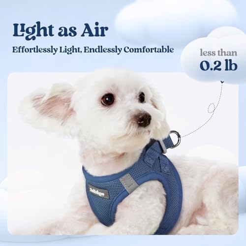 rabbitgoo Dog Harness Small Sized and Leash Set, Step in Soft Light Puppy Vest, Breathable Mesh Pet Harness, Reflective for Safe Outdoor Walking