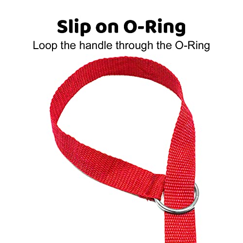 Downtown Pet Supply 6ft Dog Kennel Slip Lead Leash for Dogs - Veterinarian, Grooming, Daycare & Animal Rescue Supplies - One Size Fits All - 1" Thick