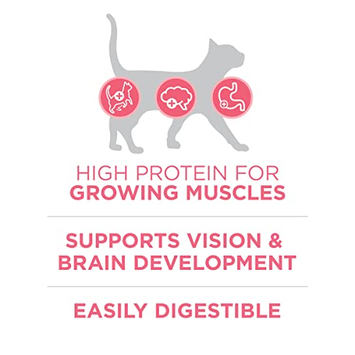 Purina ONE High Protein, Natural Dry Kitten Food, +Plus Healthy Kitten Formula - 3.5 lb. Bag