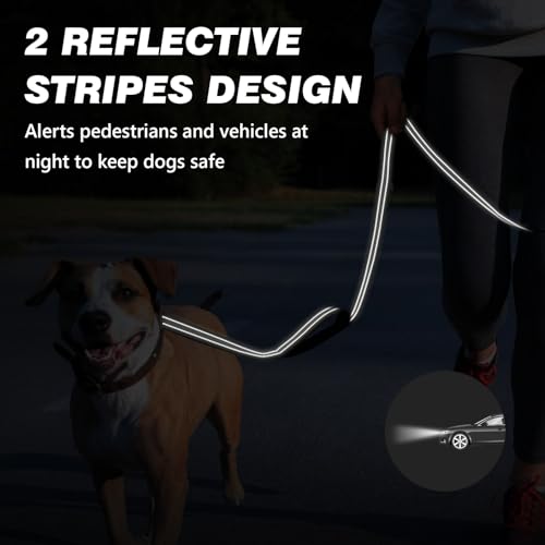 WINGOIN Dog Leash for Large Medium Dogs, Heavy Duty Dog Leashes with Double Handle, Poop Bag Holder, Metal Clip, Car Seat Belt Buckle, Reflective