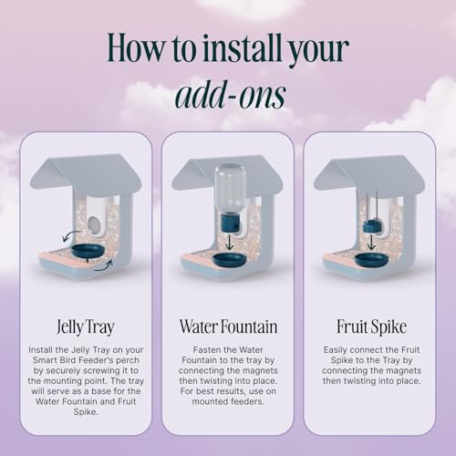 Birdbuddy 3-in-1 Nutrition Set - Outdoor Bird Accessories with Water Fountain, Fruit Spike & Jelly Tray Feeder - Durable, Easy Attachment for Bird House
