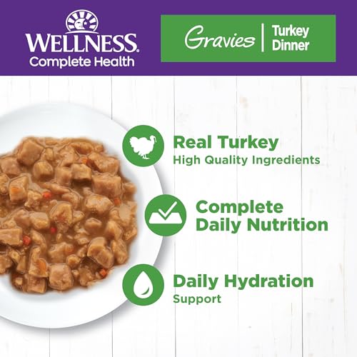Wellness Complete Health Gravy Adult Wet Cat Food, Natural, Protein-Rich, Grain Free, 5.5 Ounce, 12 Pack, (Turkey Dinner)