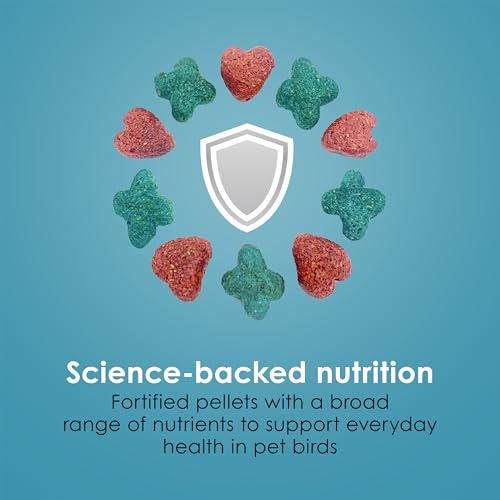 Kaytee Forti-Diet Pro Health Nourish+Protect Conure & Lovebird Food, Comprehensive Nutrition Backed by Science, Digestive Health, Immune Support, 4 pounds