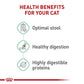 Royal Canin Feline Care Nutrition Digestive Care Adult Dry Cat Food, 6 lb Bag